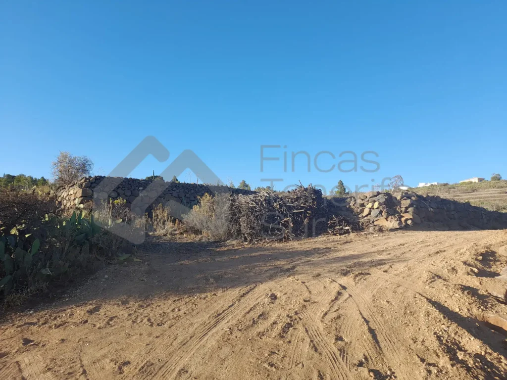 FS25-02 San Miguel de Abona (1)
