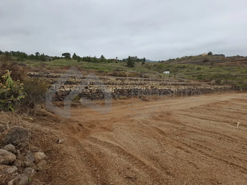 FS25-02 San Miguel de Abona (2)