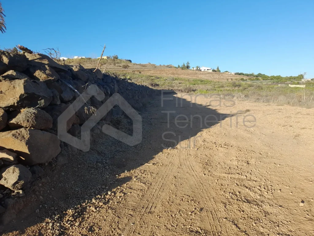 FS25-02 San Miguel de Abona (3)