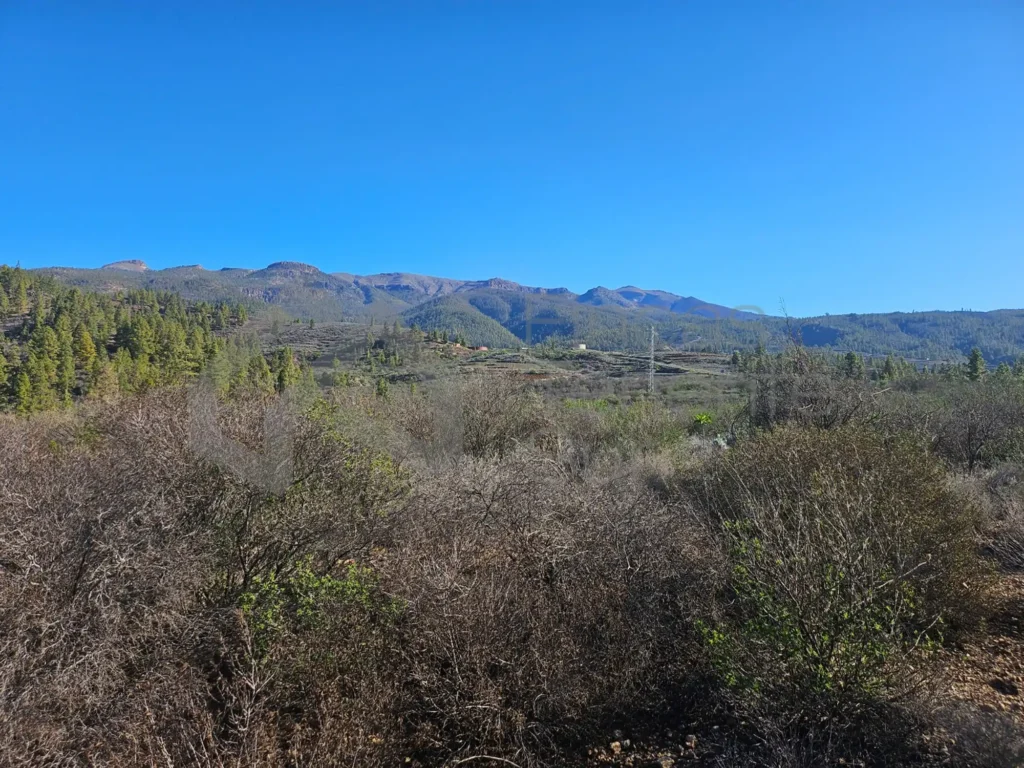 San Miguel de Abona FS25-03 4